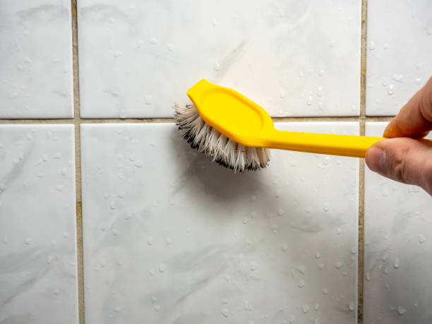 Best Insurance-Related Mold Remediation in Los Fresnos, TX