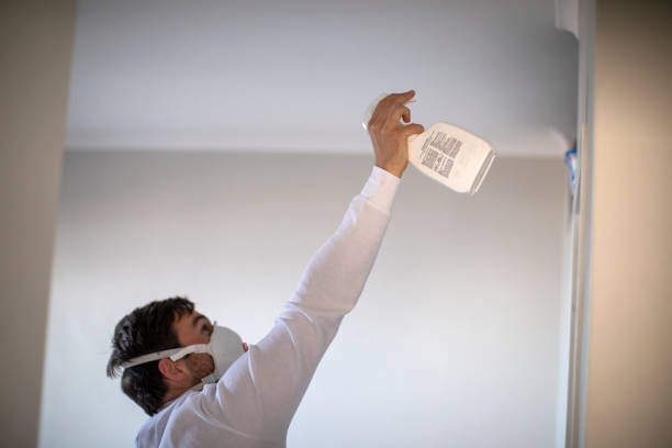 Best HVAC Mold Remediation in Los Fresnos, TX